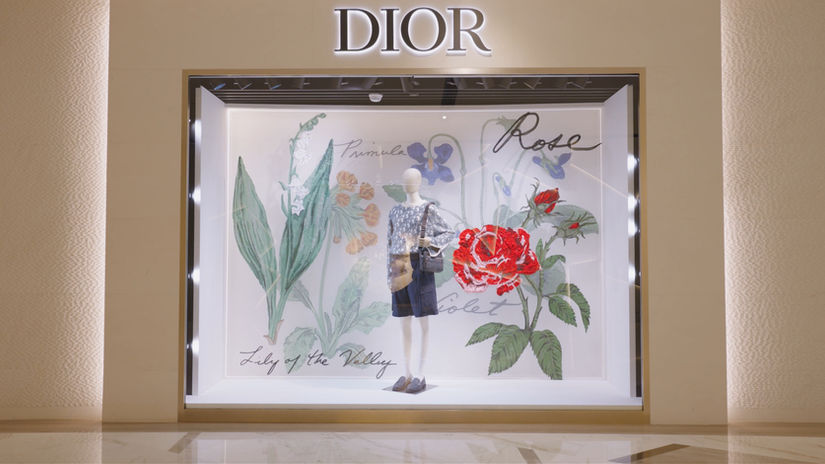 DIOR FALL COLLECTION